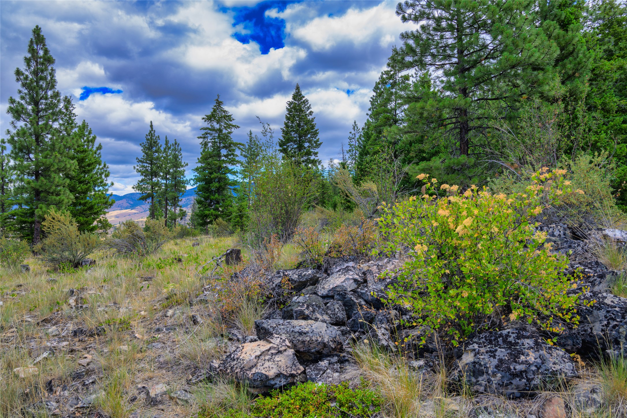 Lot 29 Bighorn Bluff Loop Property Photo 44