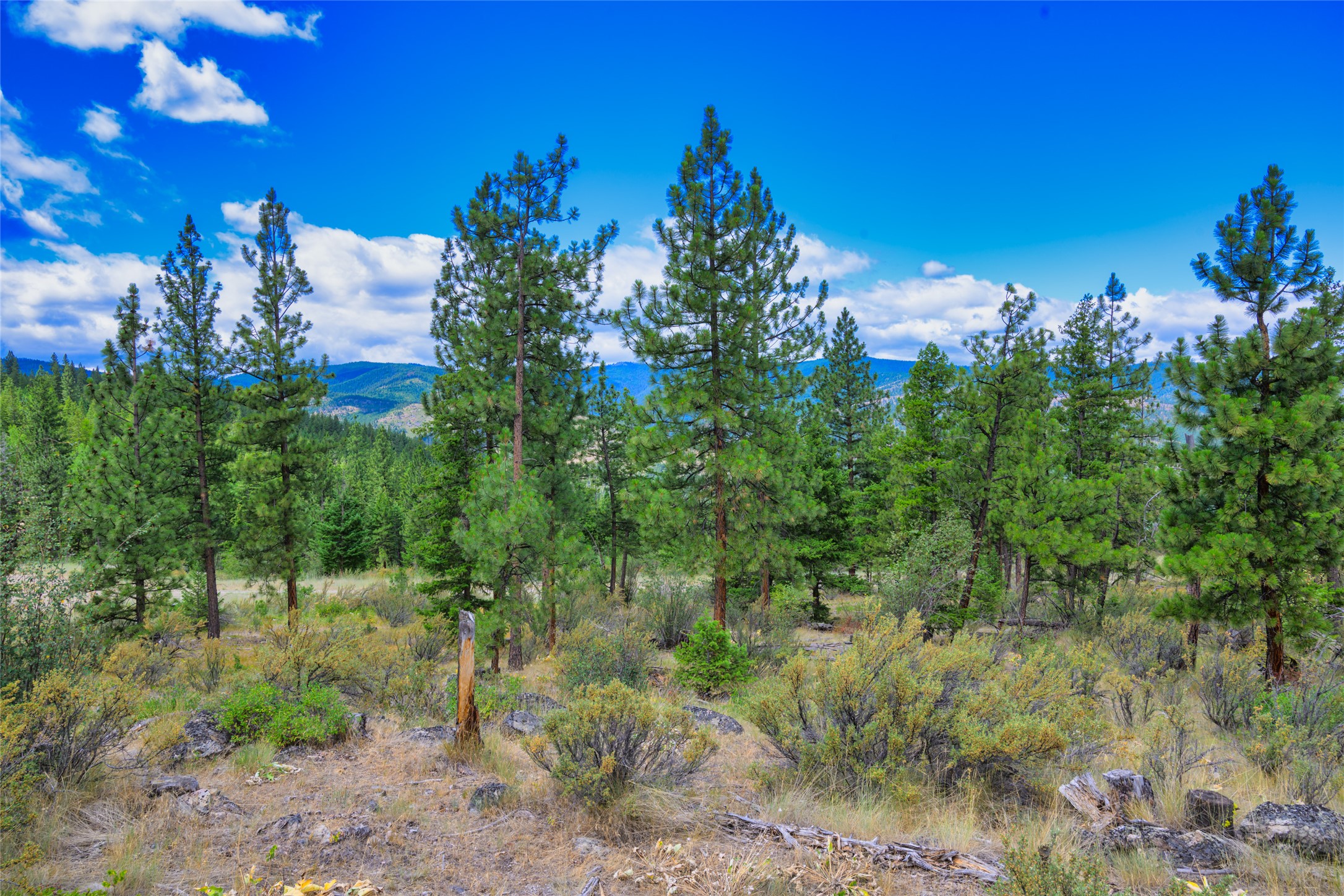 Lot 29 Bighorn Bluff Loop Property Photo 45