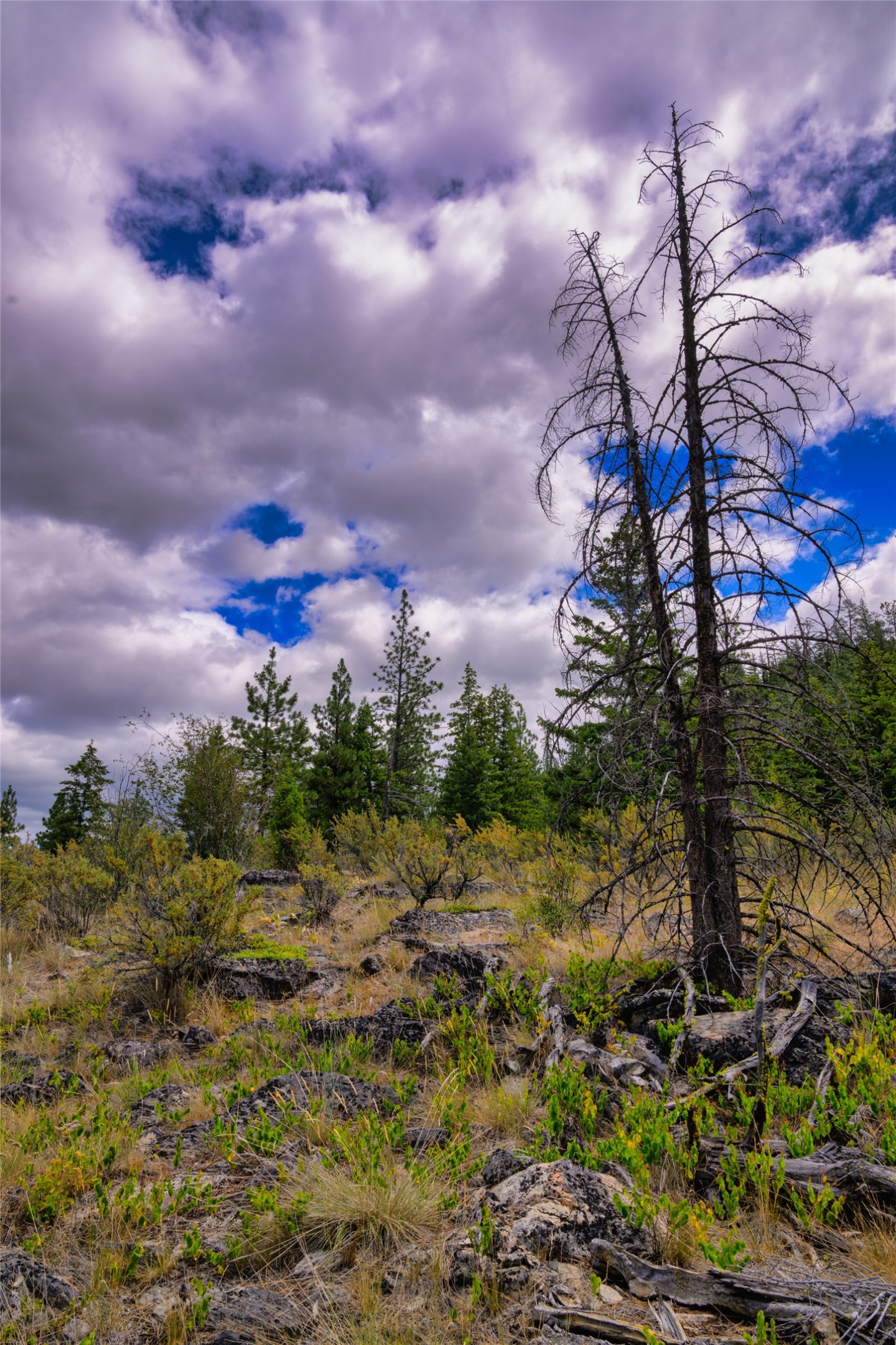 Lot 29 Bighorn Bluff Loop Property Photo 46