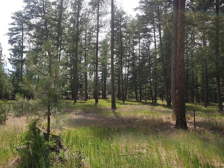 19425 Pond Road Property Photo 3