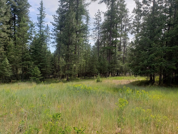 19425 Pond Road Property Photo 5