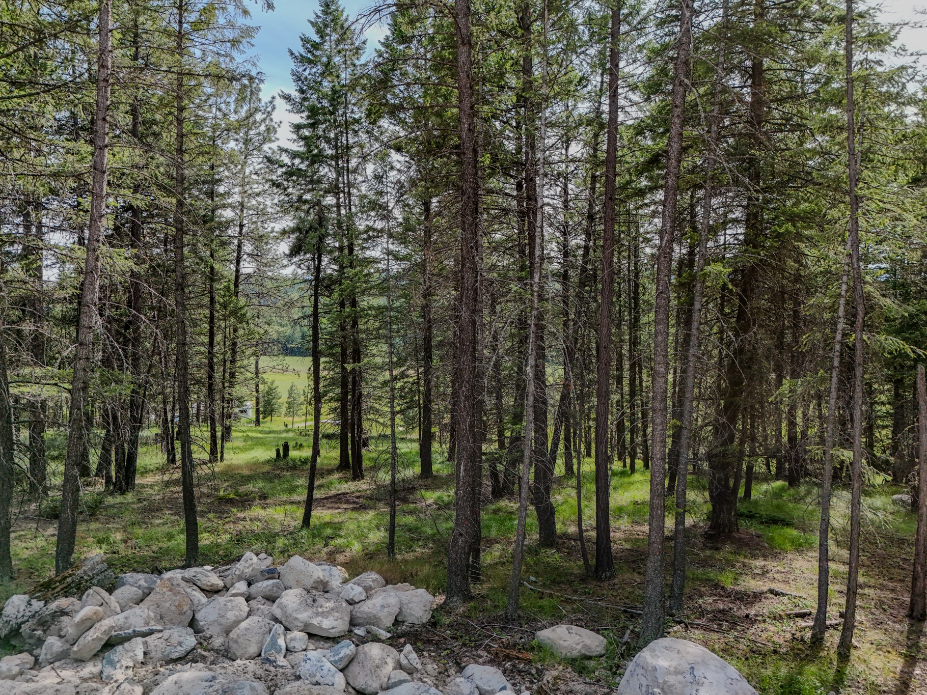 568 Bald Rock Road Property Photo 15