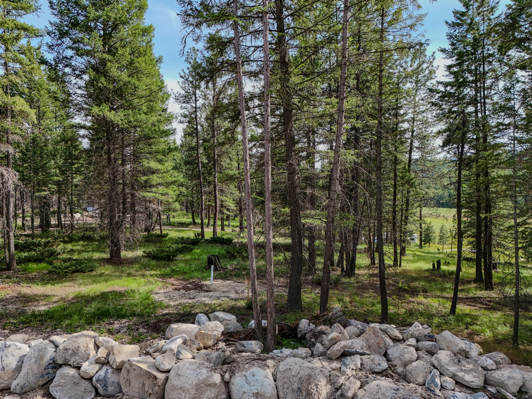 568 Bald Rock Road Property Photo 16