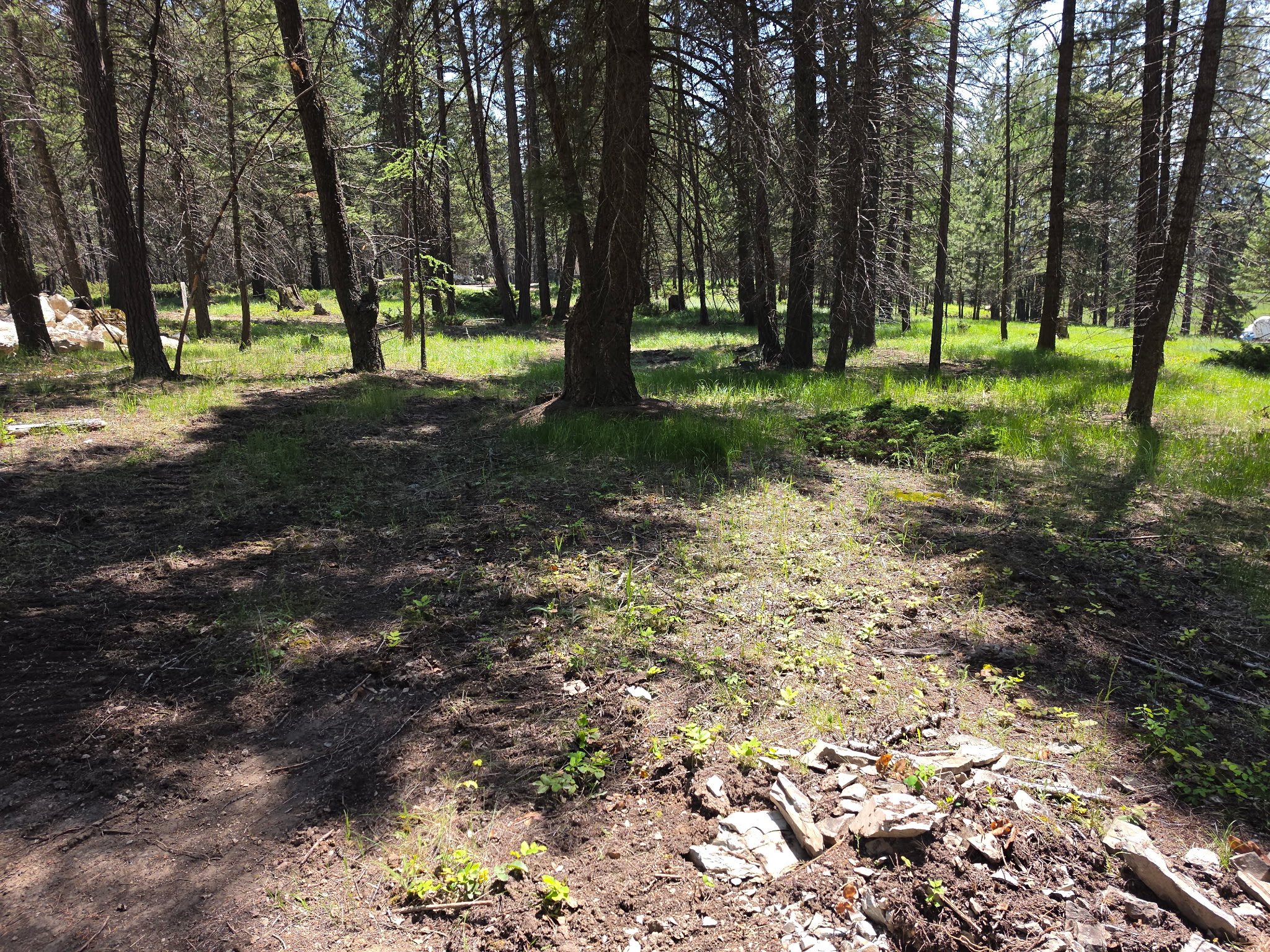 568 Bald Rock Road Property Photo 25