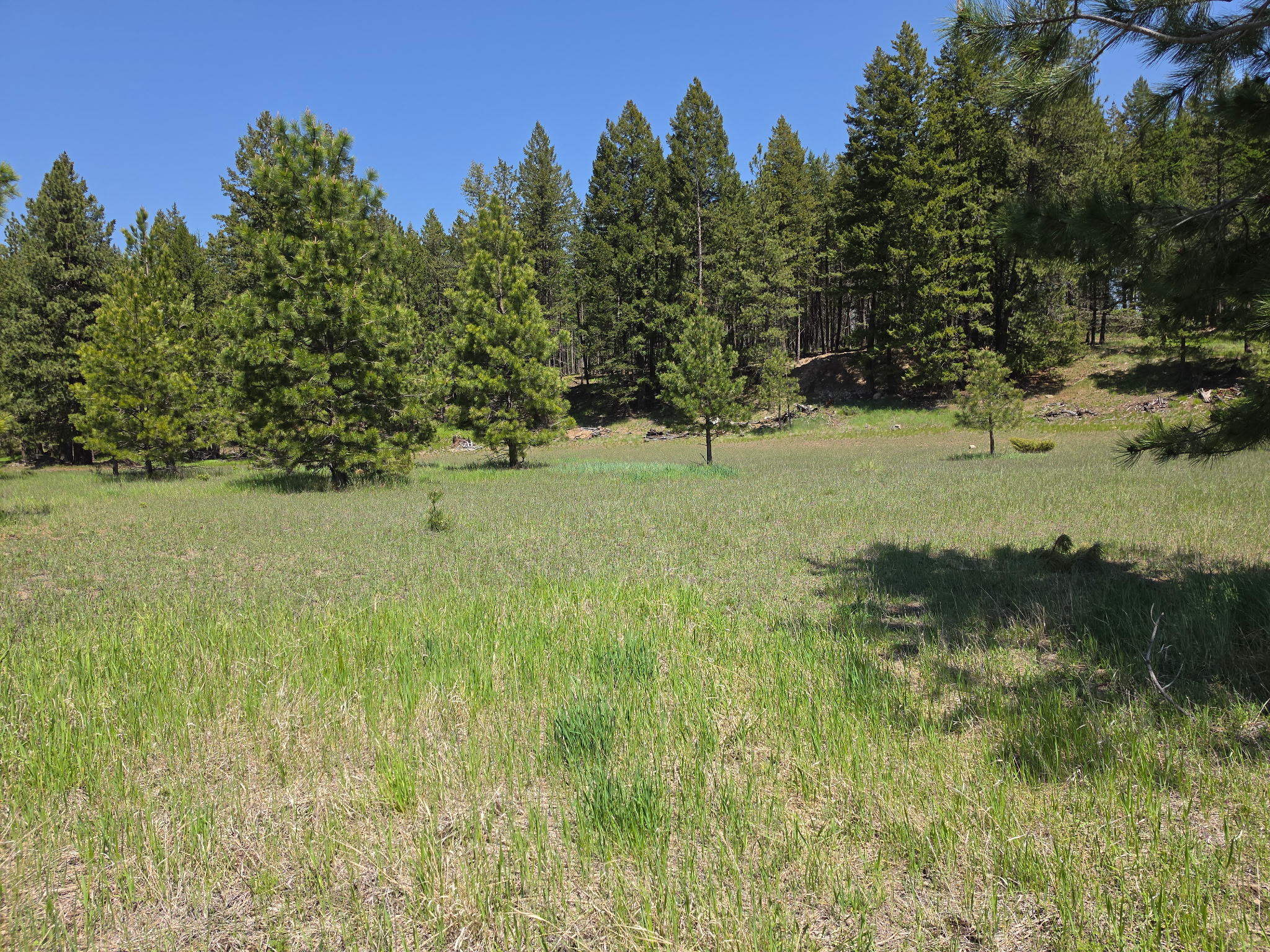 568 Bald Rock Road Property Photo 29