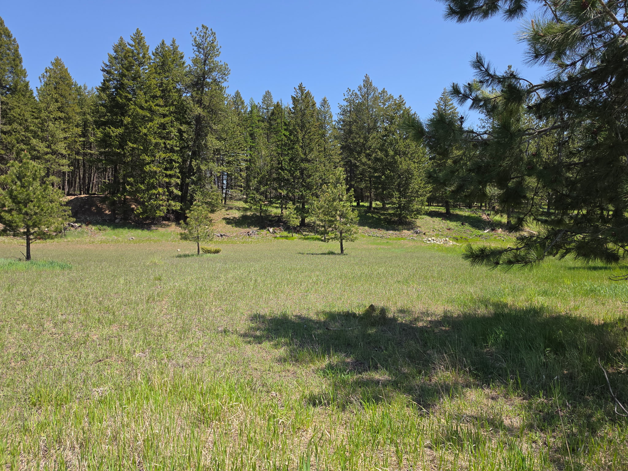 568 Bald Rock Road Property Photo 30