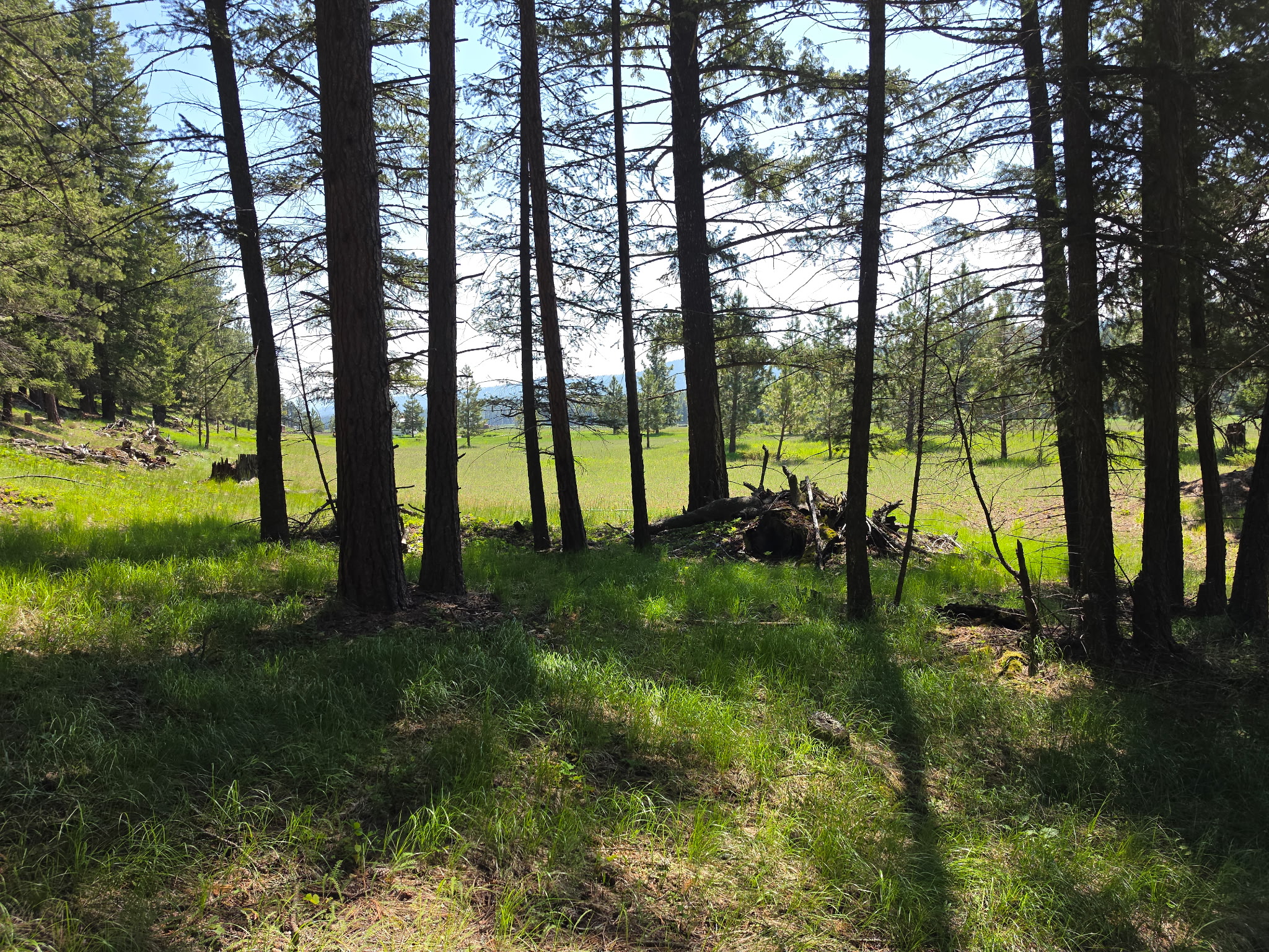 568 Bald Rock Road Property Photo 34