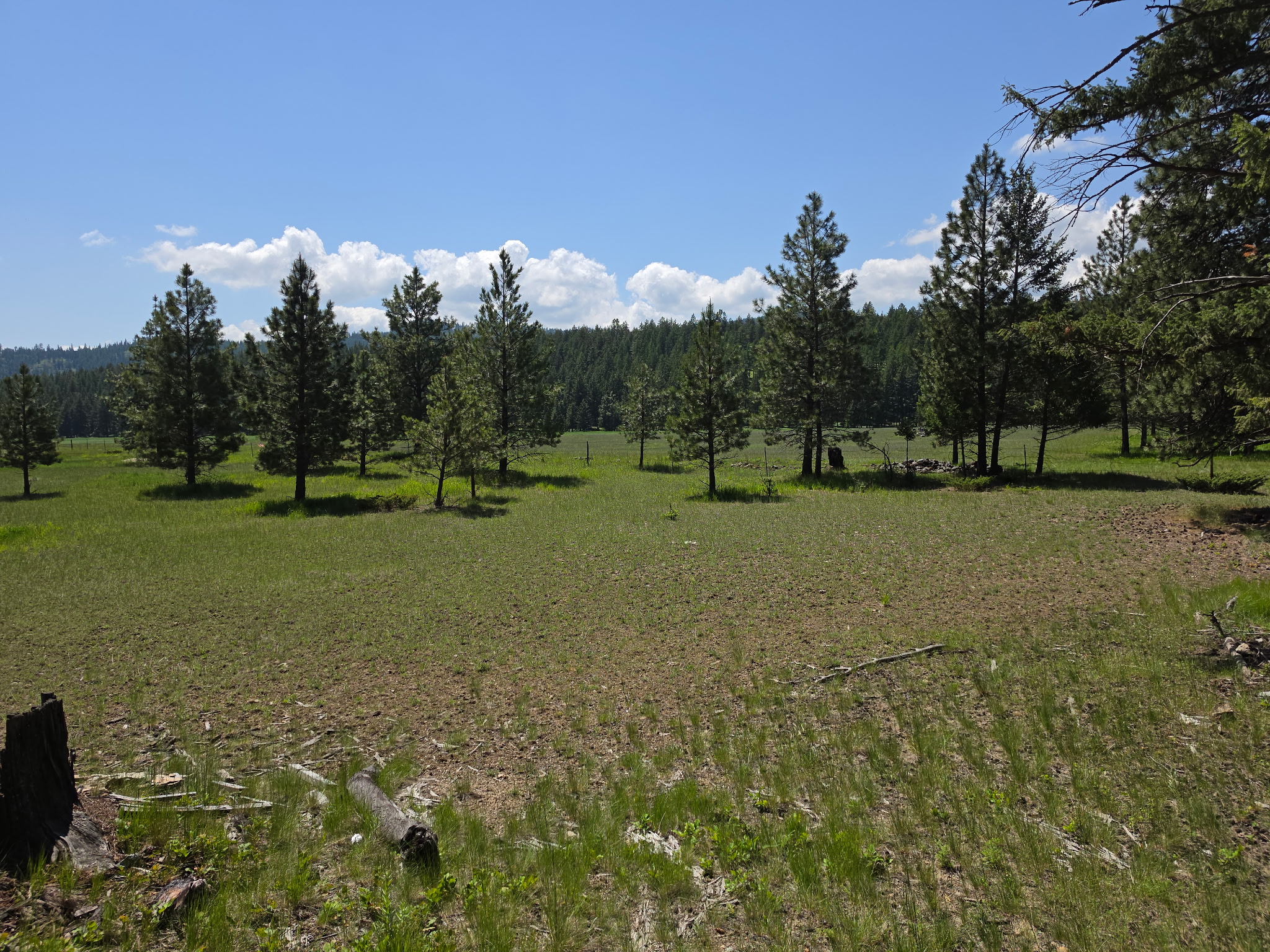 568 Bald Rock Road Property Photo 35