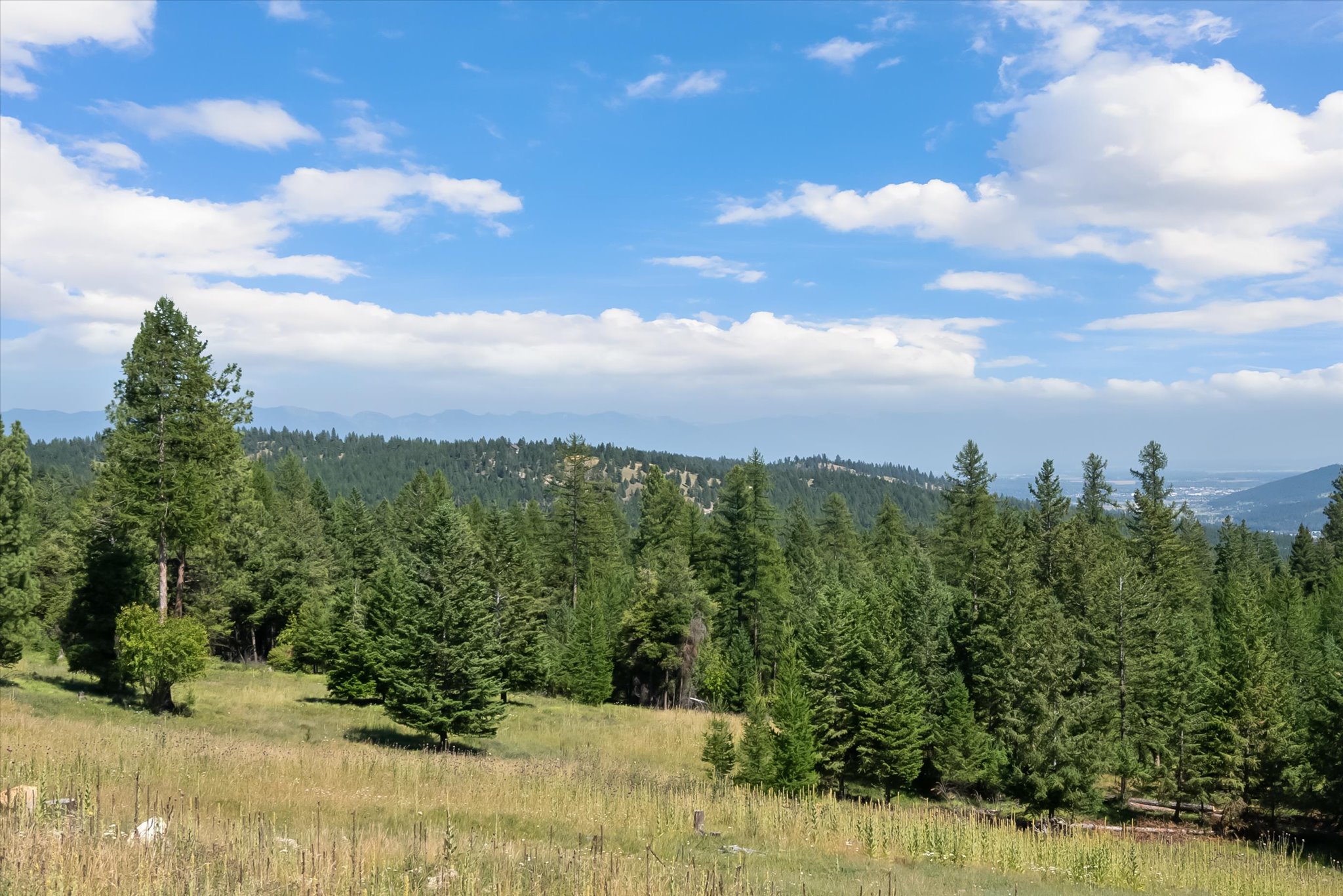 1480 Sherman Road Property Photo 61
