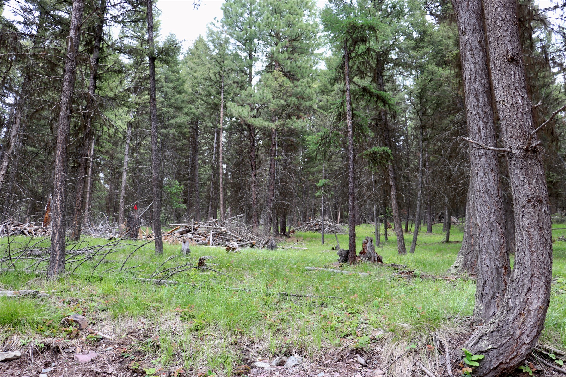 1016 Grandview Drive Property Photo 1