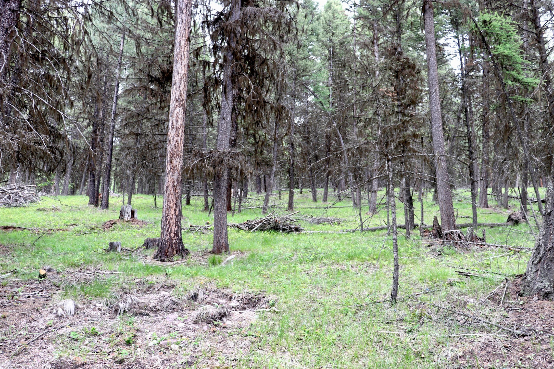 1016 Grandview Drive Property Photo 8
