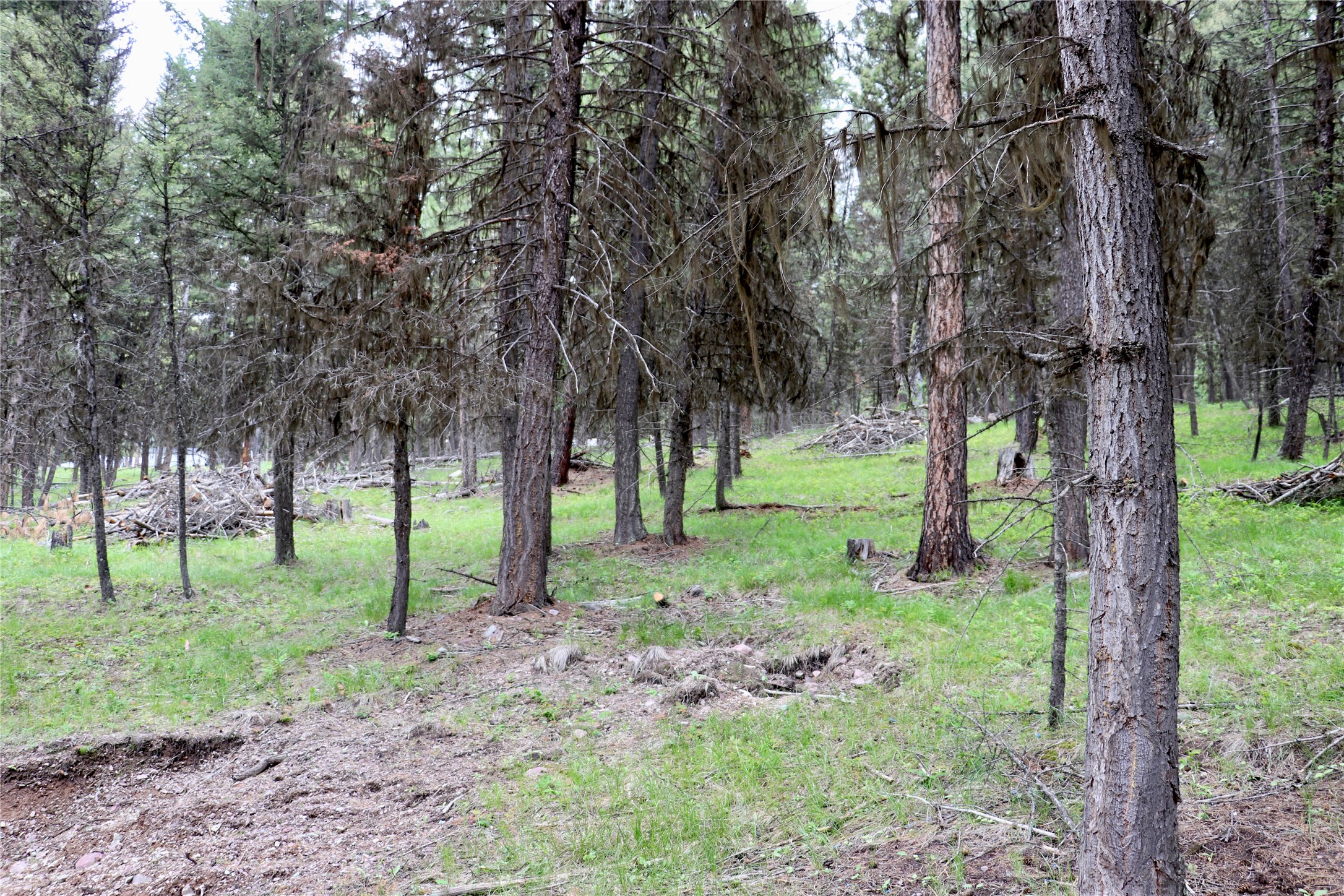1016 Grandview Drive Property Photo 13