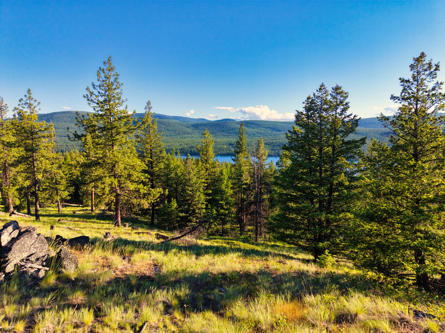 12021 Us Highway 2 W Property Photo 33