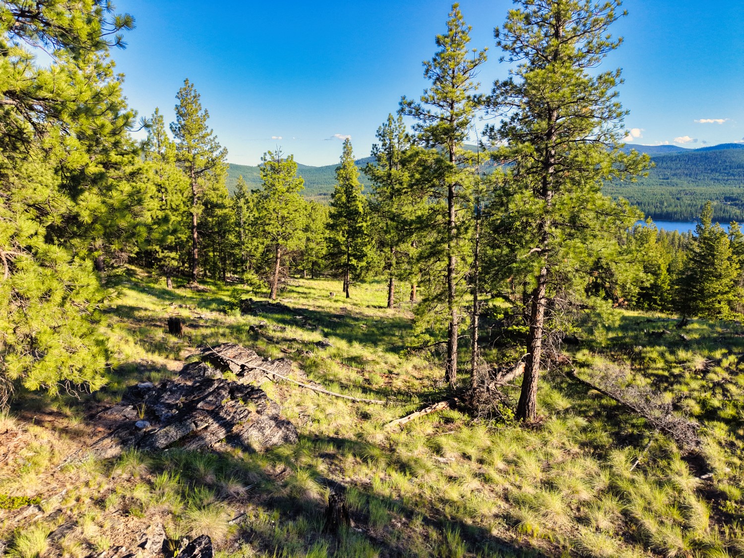 12021 Us Highway 2 W Property Photo 34