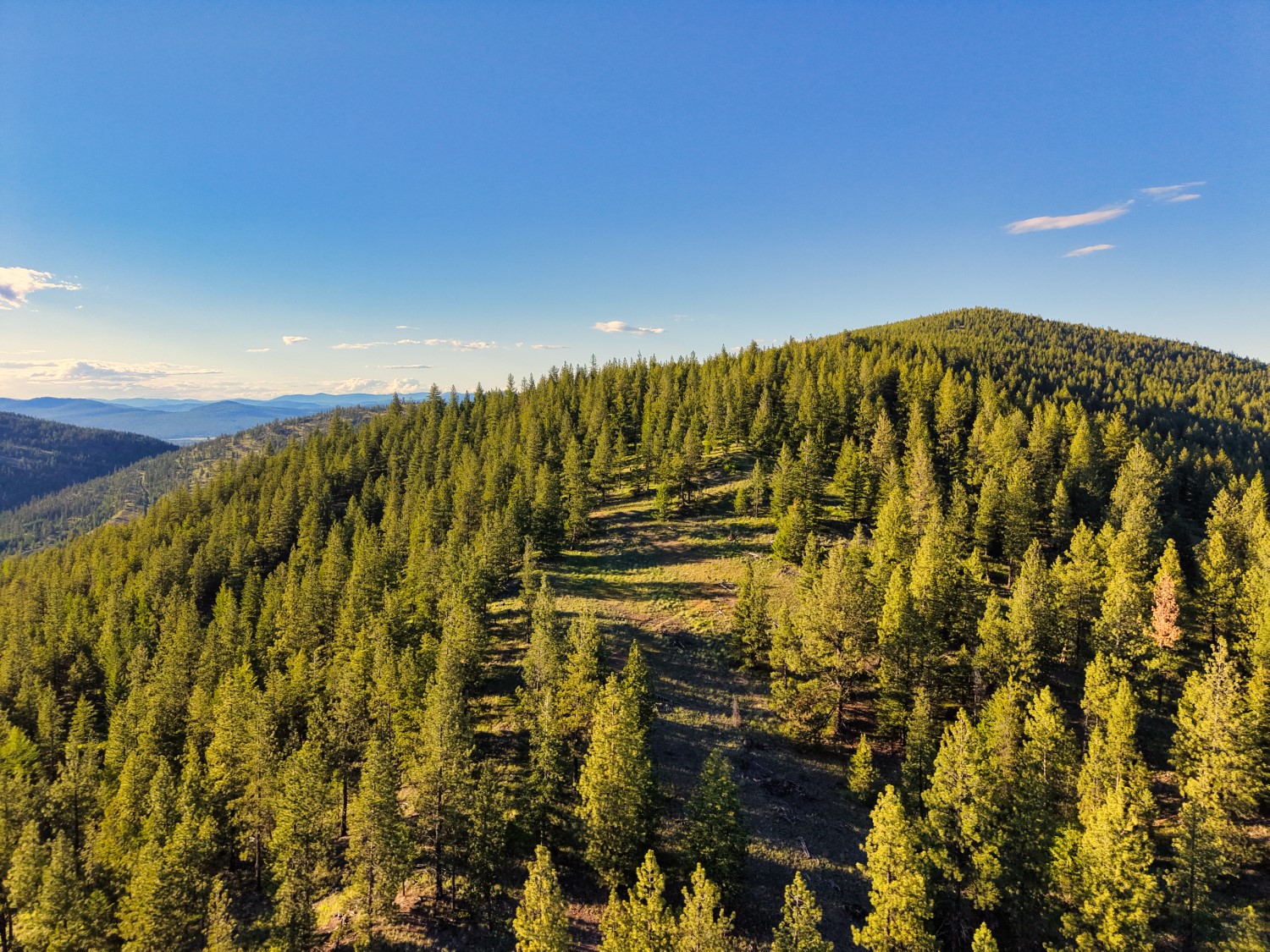12021 Us Highway 2 W Property Photo 42