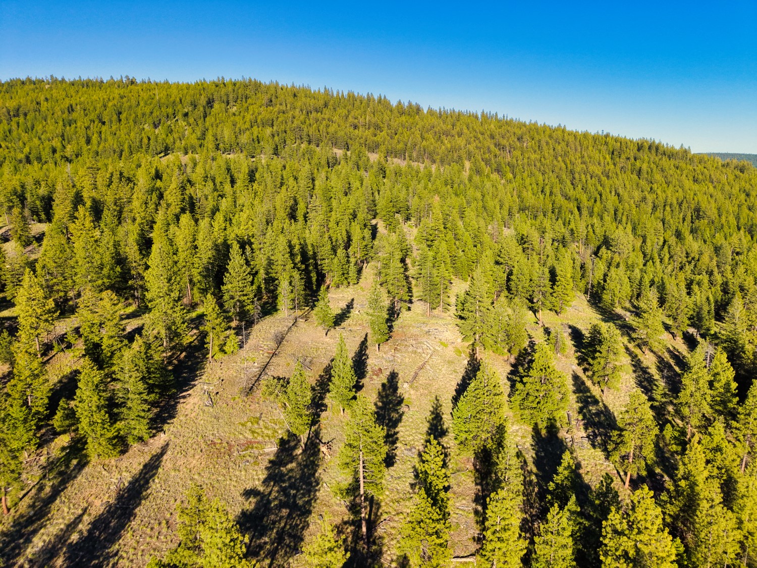 12021 Us Highway 2 W Property Photo 52