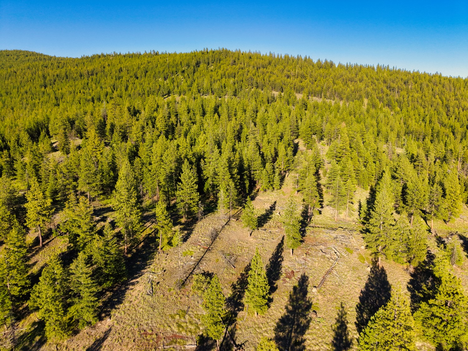 12021 Us Highway 2 W Property Photo 53