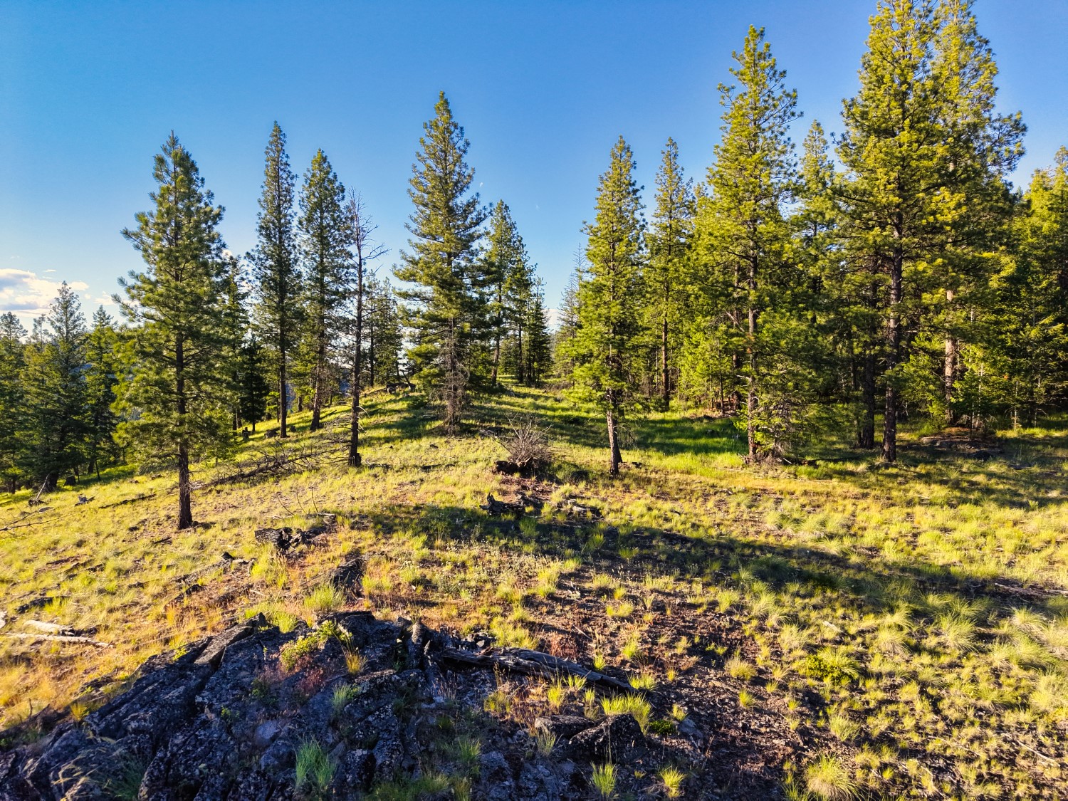 12021 Us Highway 2 W Property Photo 54
