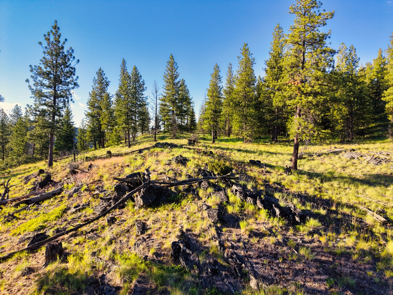 12021 Us Highway 2 W Property Photo 55