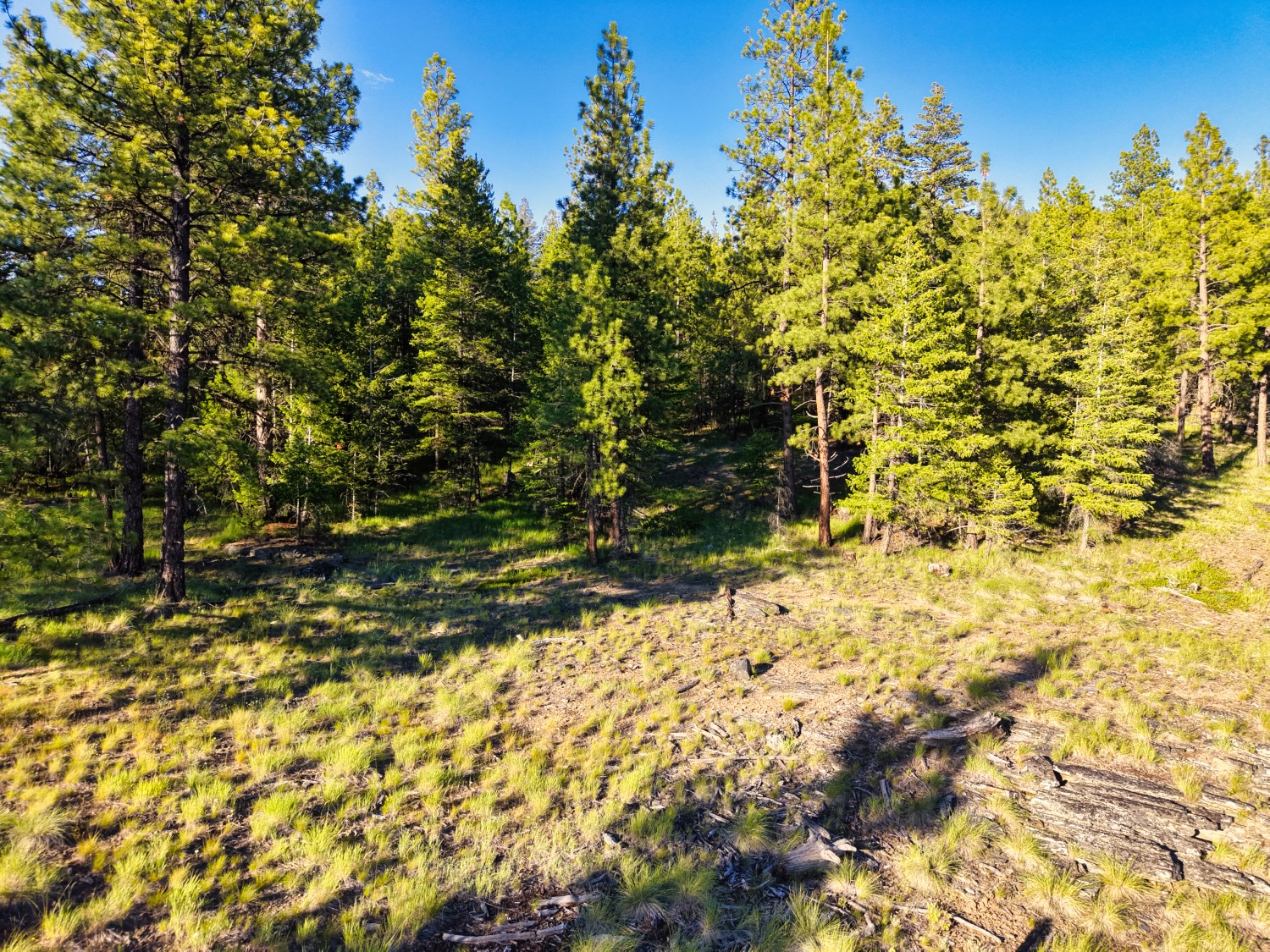 12021 Us Highway 2 W Property Photo 56