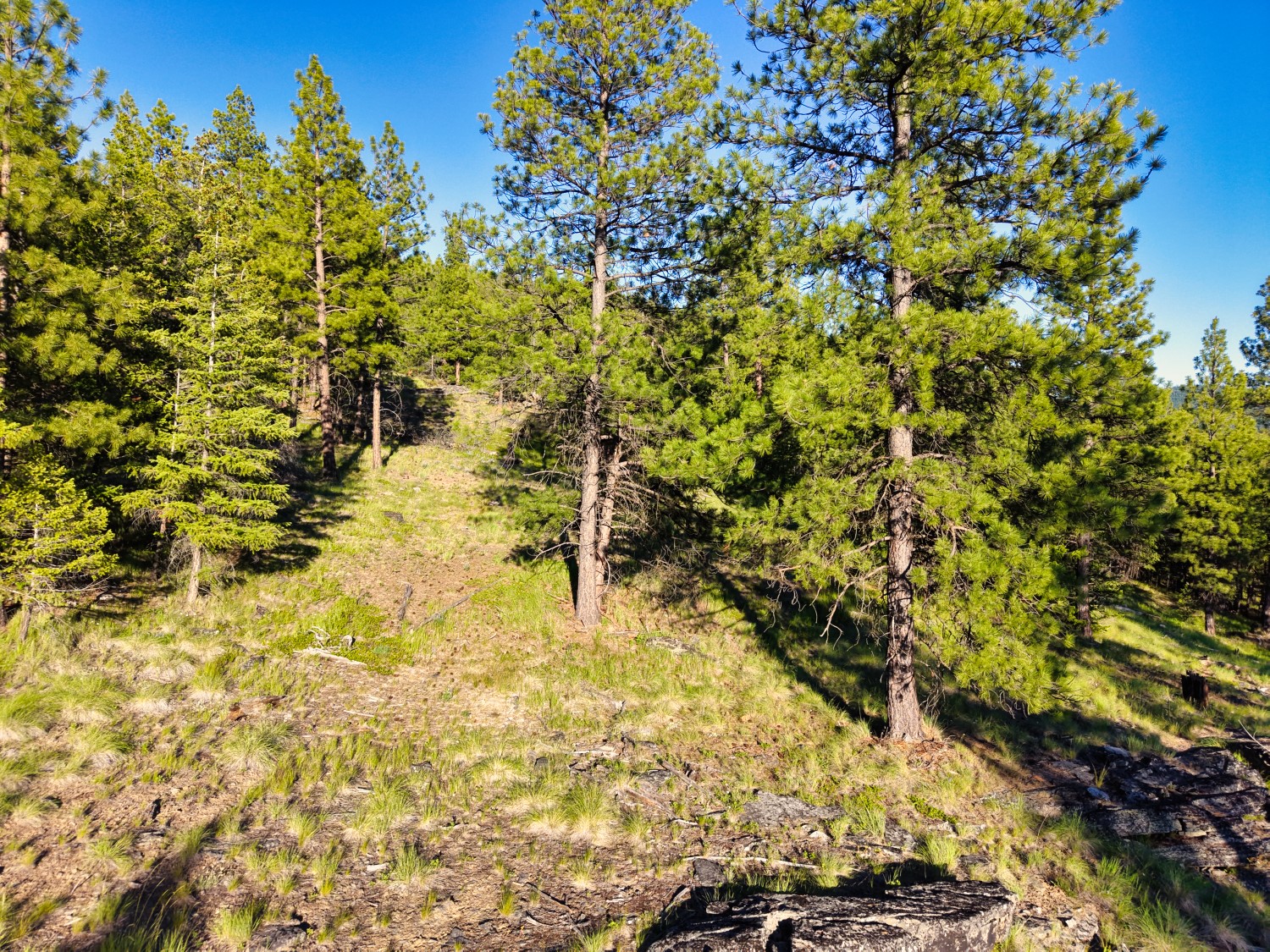 12021 Us Highway 2 W Property Photo 57