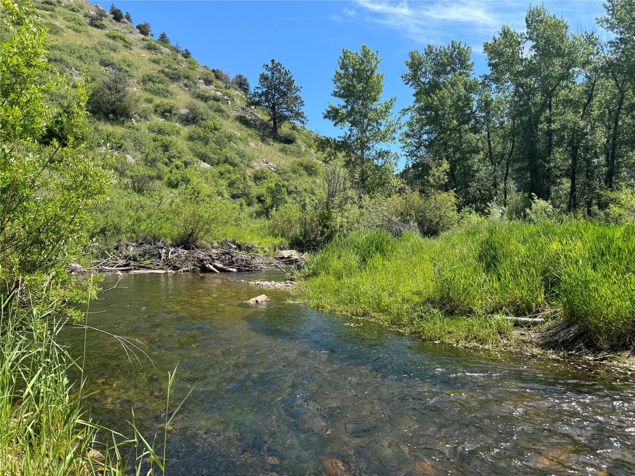 Tbd Creekside Lane Property Photo 4