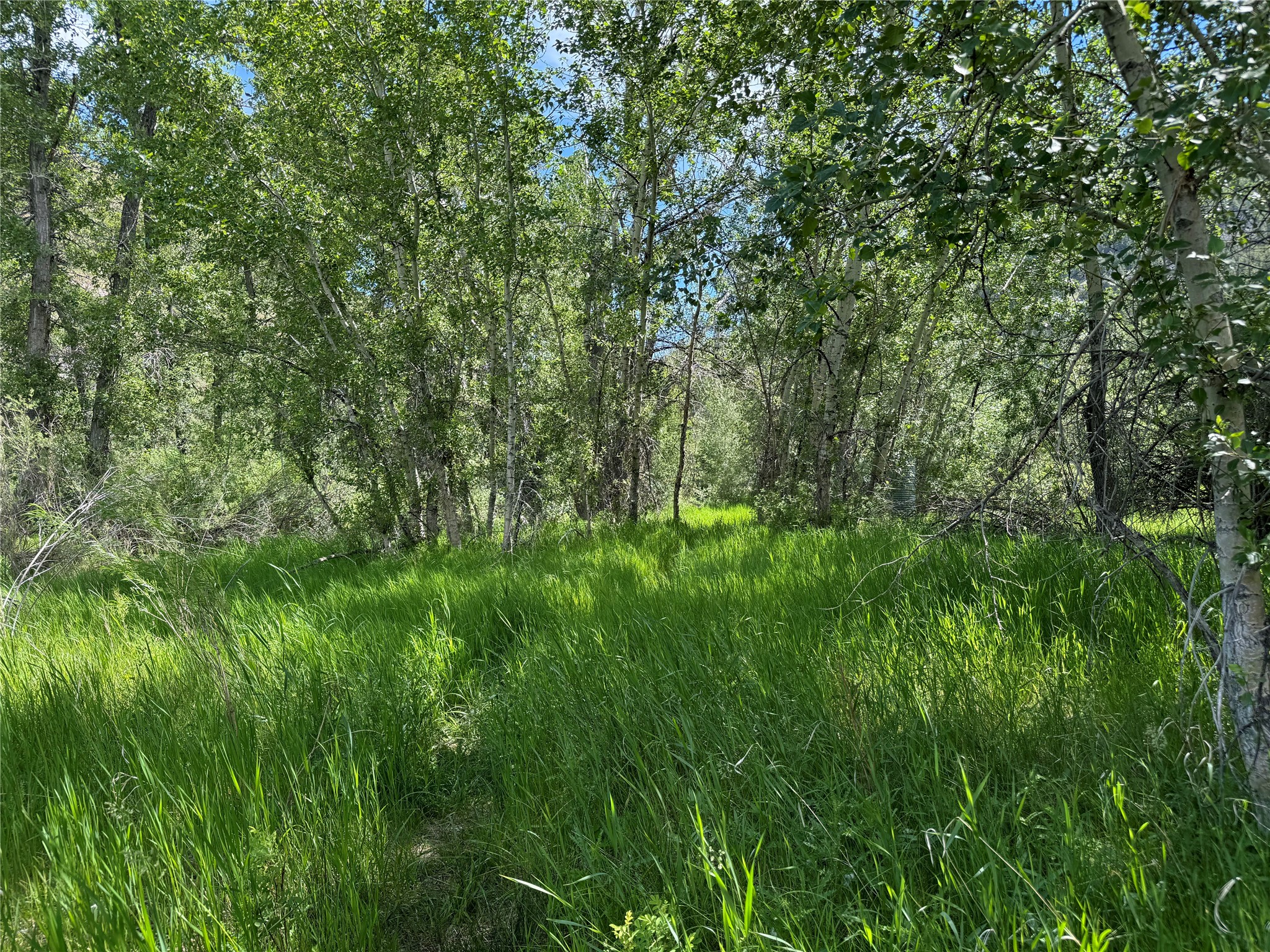 Tbd Creekside Lane Property Photo 34