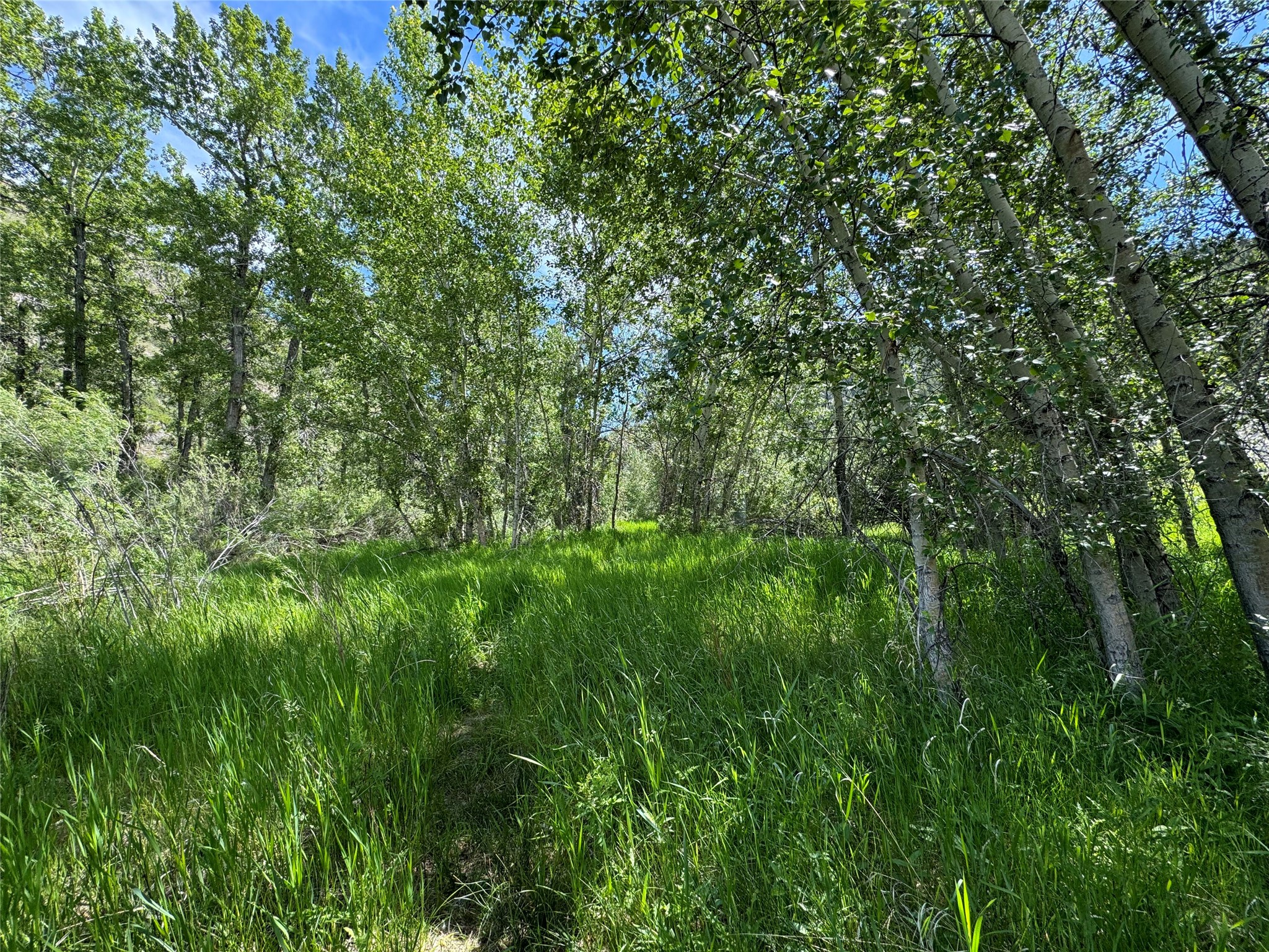 Tbd Creekside Lane Property Photo 35