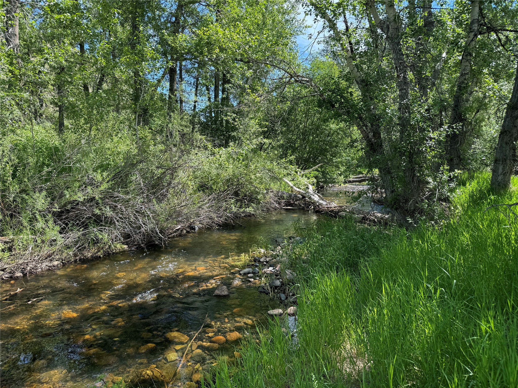 Tbd Creekside Lane Property Photo 39
