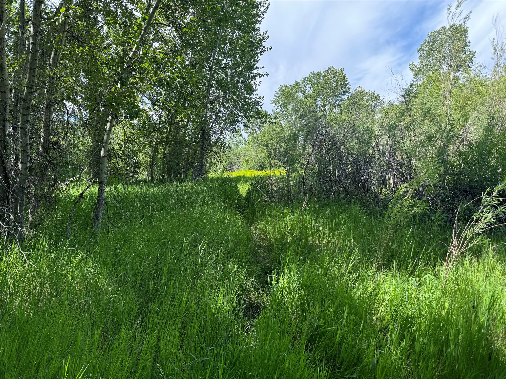 Tbd Creekside Lane Property Photo 40
