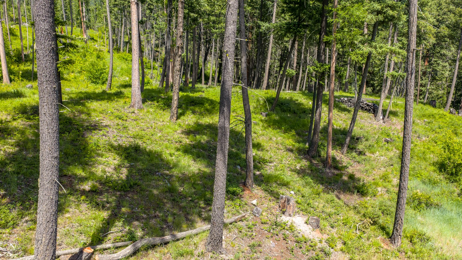 3621 E Lakeshore Drive Property Photo 47
