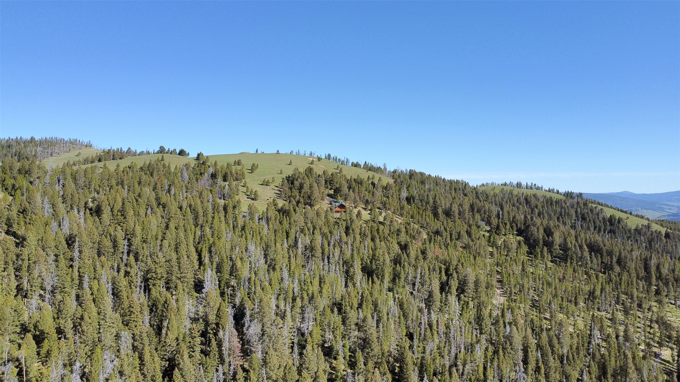2988 Moose Gulch Road Property Photo 74