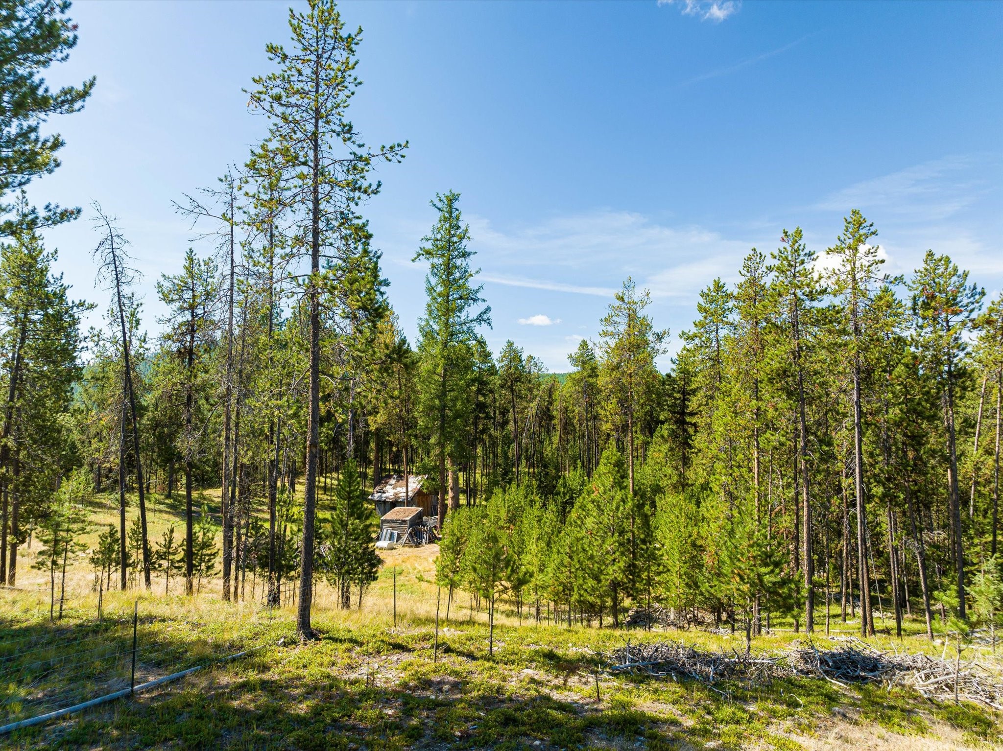 506 Badger Hollow Trail Property Photo 36