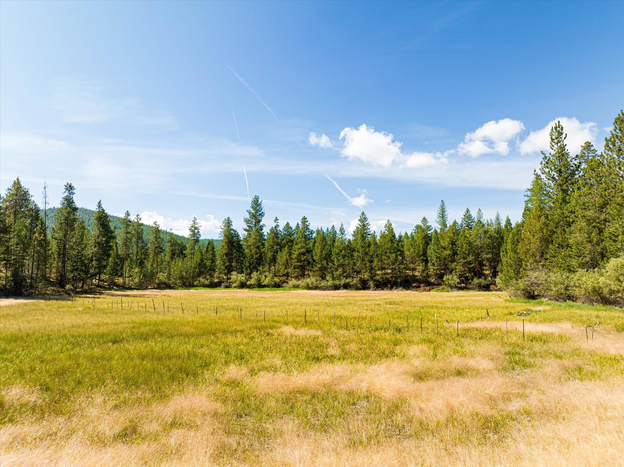 506 Badger Hollow Trail Property Photo 44