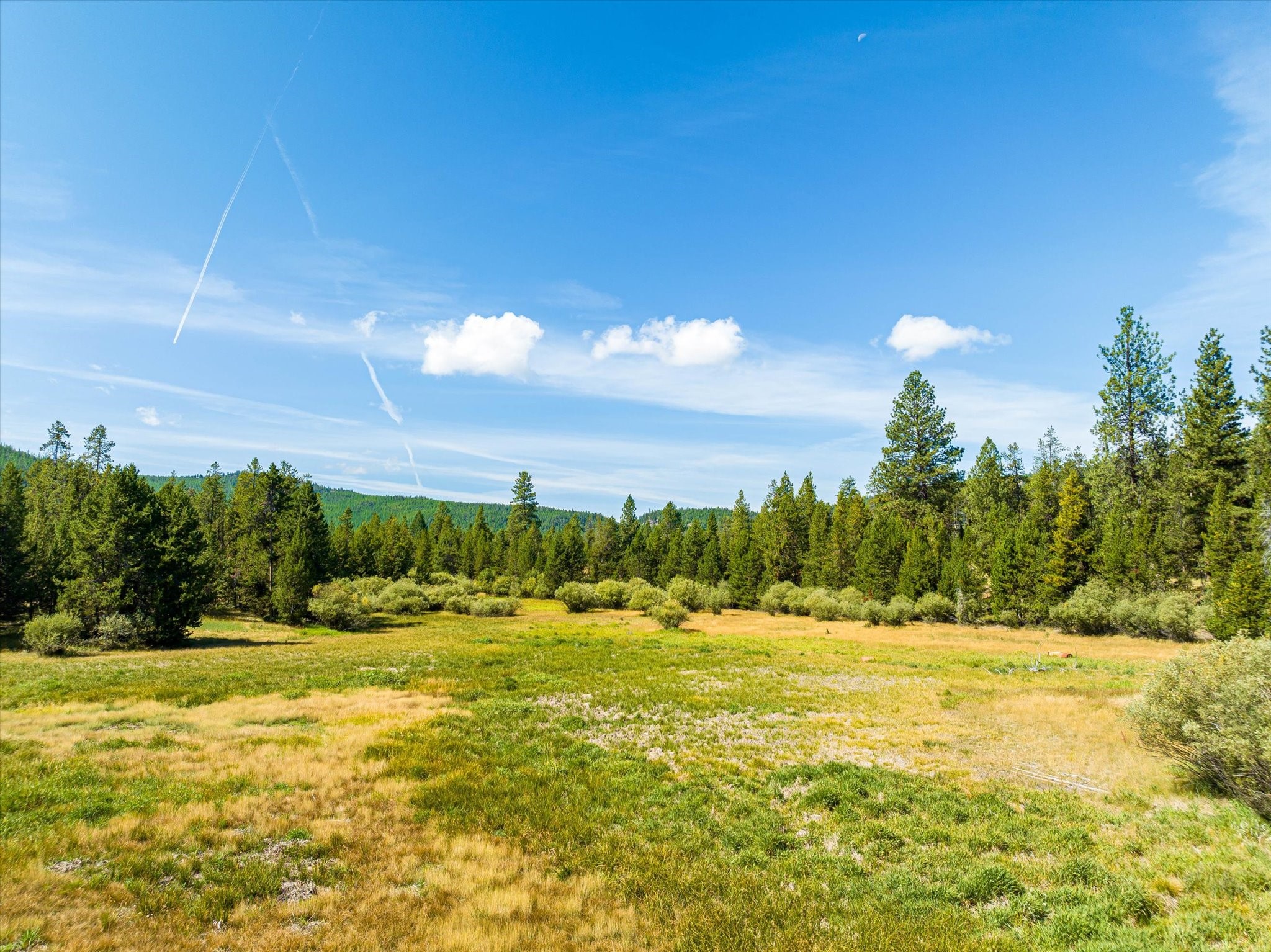 506 Badger Hollow Trail Property Photo 47