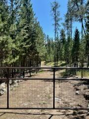 506 Badger Hollow Trail Property Photo 49