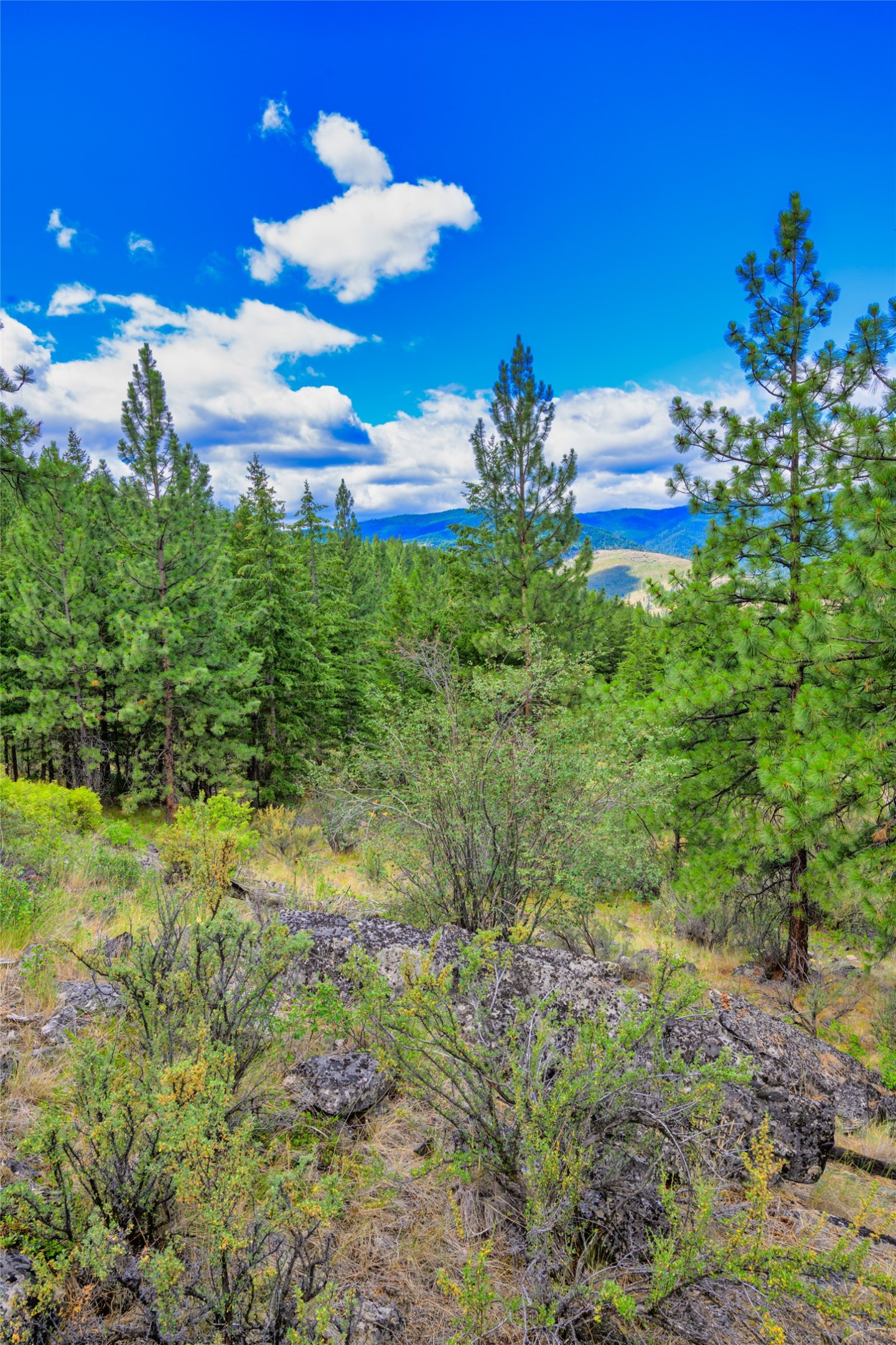 Lots 20 & 23 Bighorn Bluff Road Property Photo 33