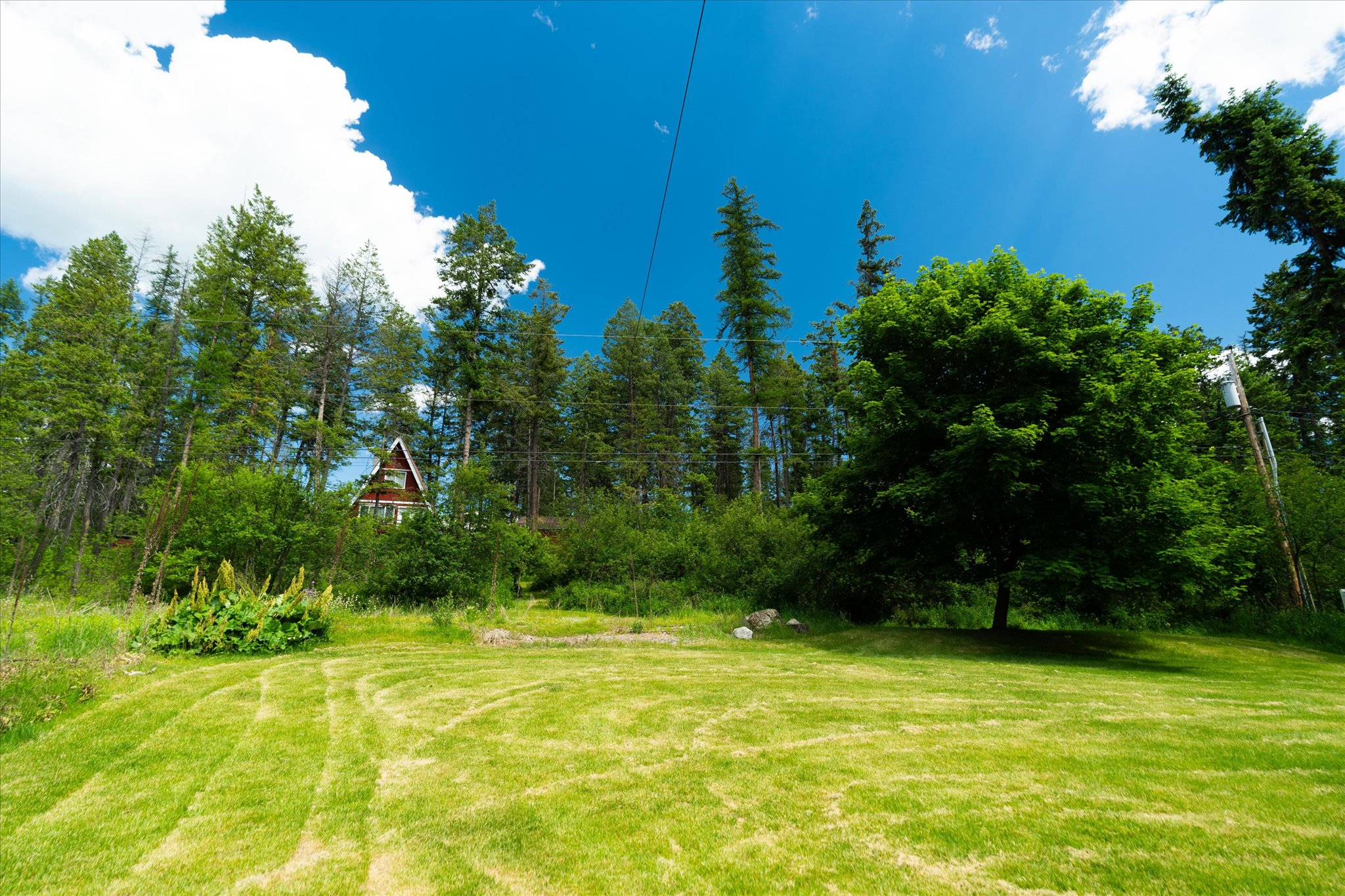 219 Cougar Trail Property Photo 40