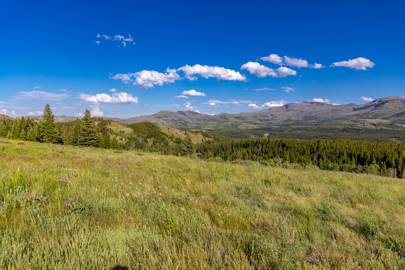 Nhn East Glacier Park Property Photo 19