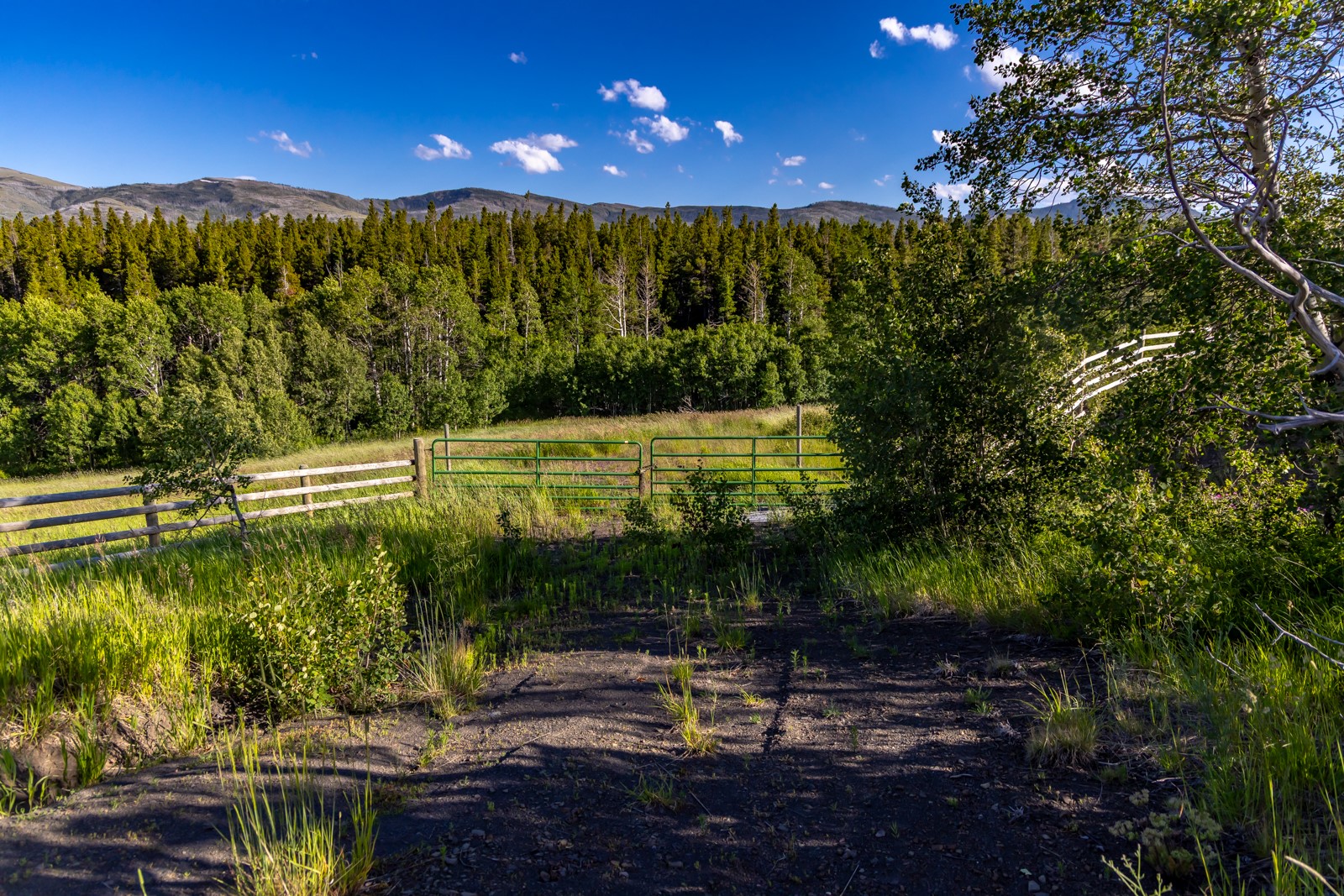 Nhn East Glacier Park Property Photo 25