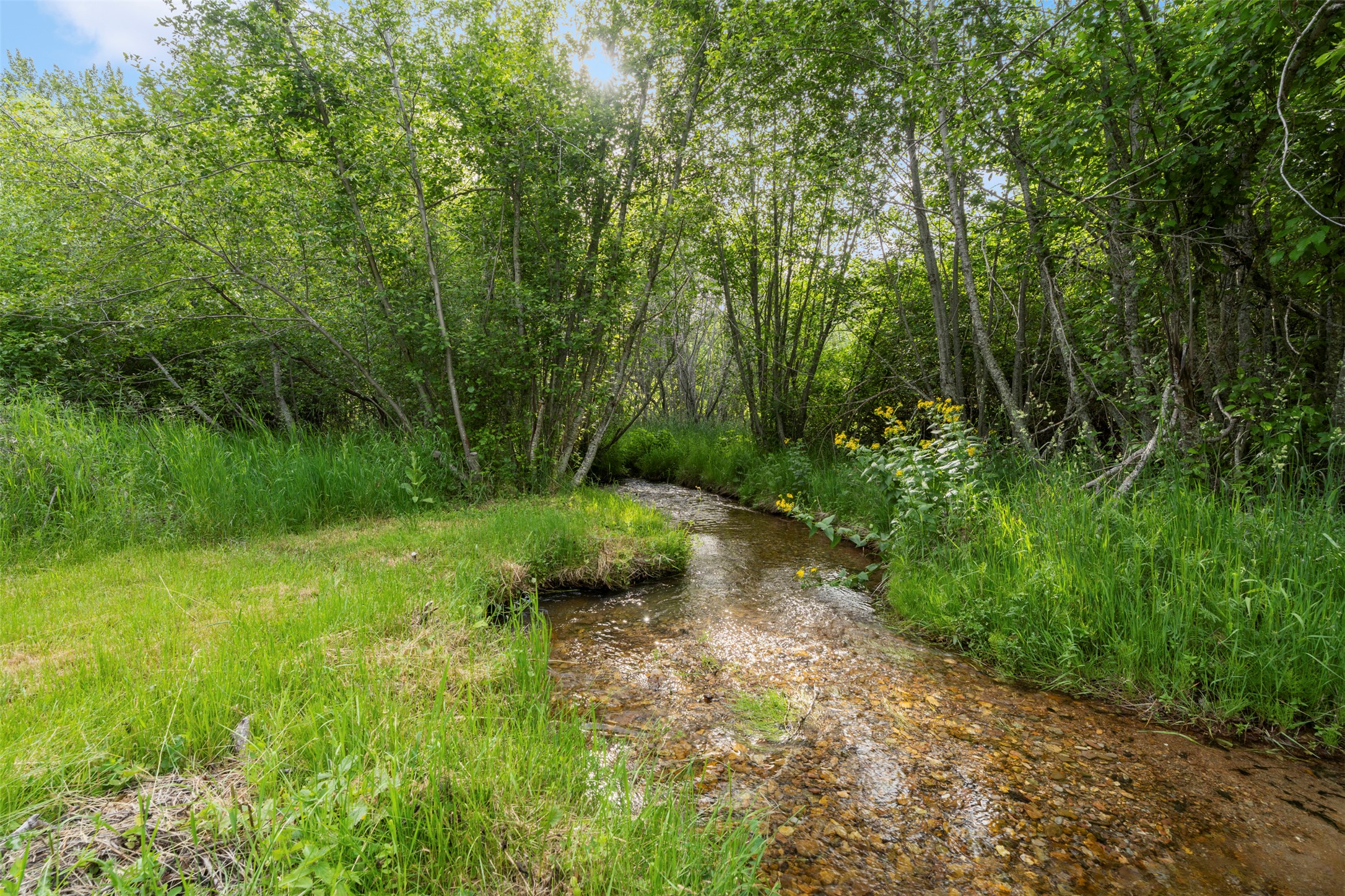 2405 Dodd Ranch Road Property Photo 56