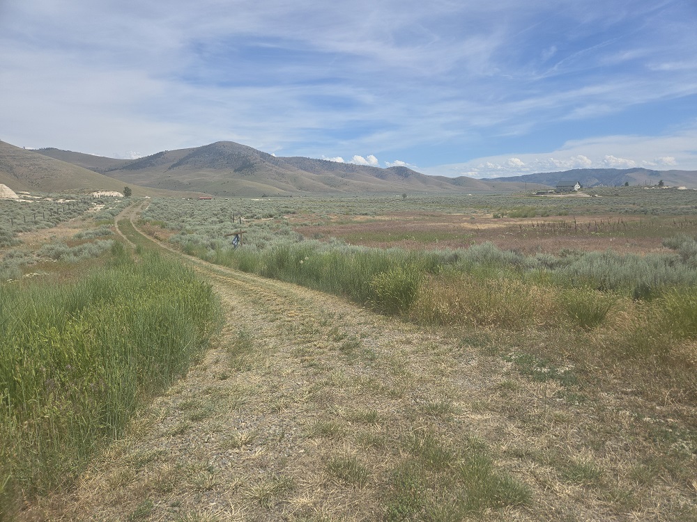 78 Sagebrush Flats Trail Property Photo 3