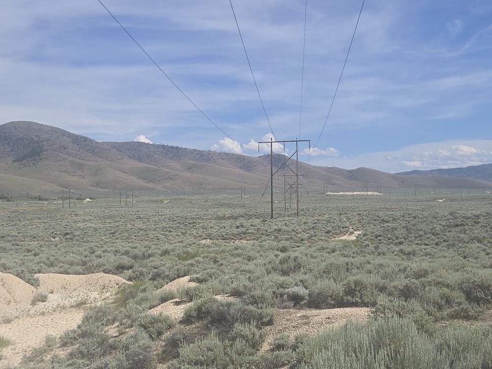 78 Sagebrush Flats Trail Property Photo 6