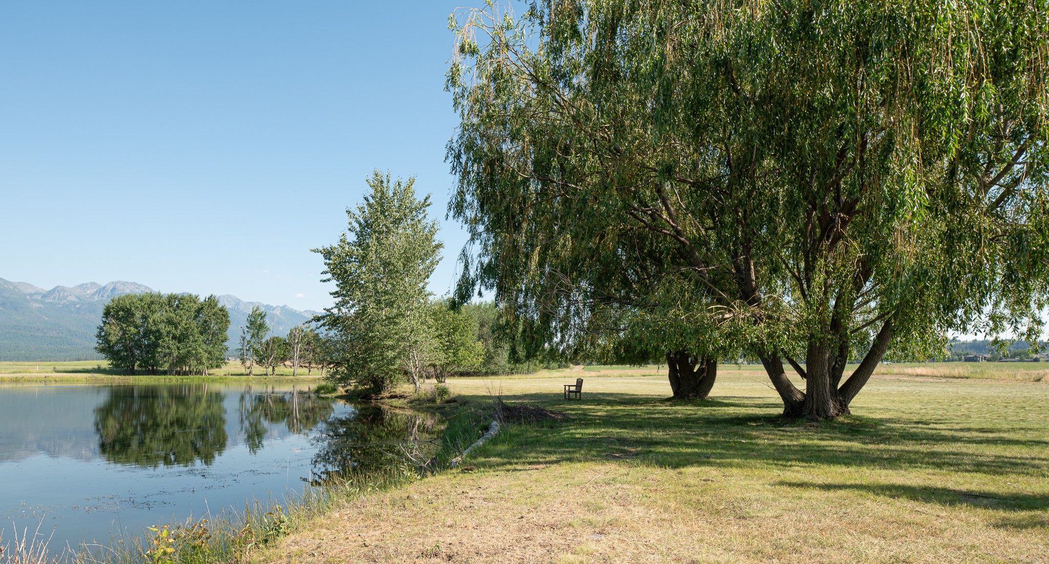 213 Pheasant Ridge Property Photo 1