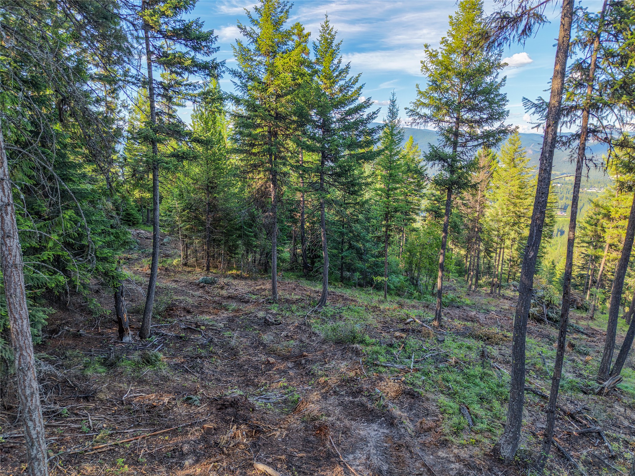 Lot 11 Panoramic View Drive Property Photo 30