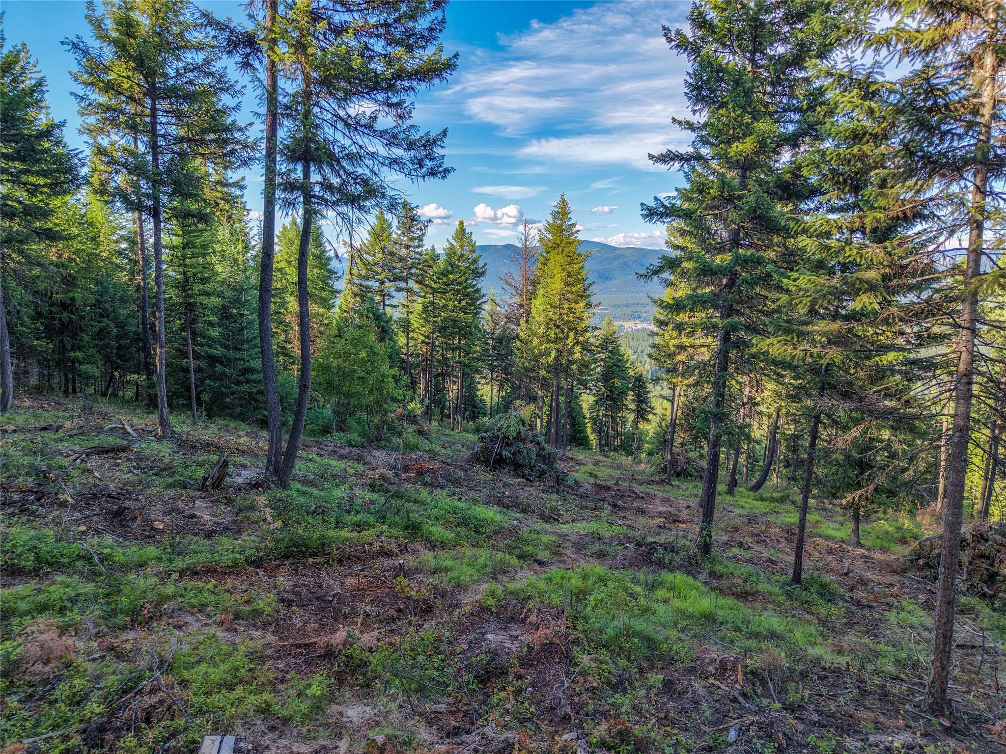 Lot 11 Panoramic View Drive Property Photo 36