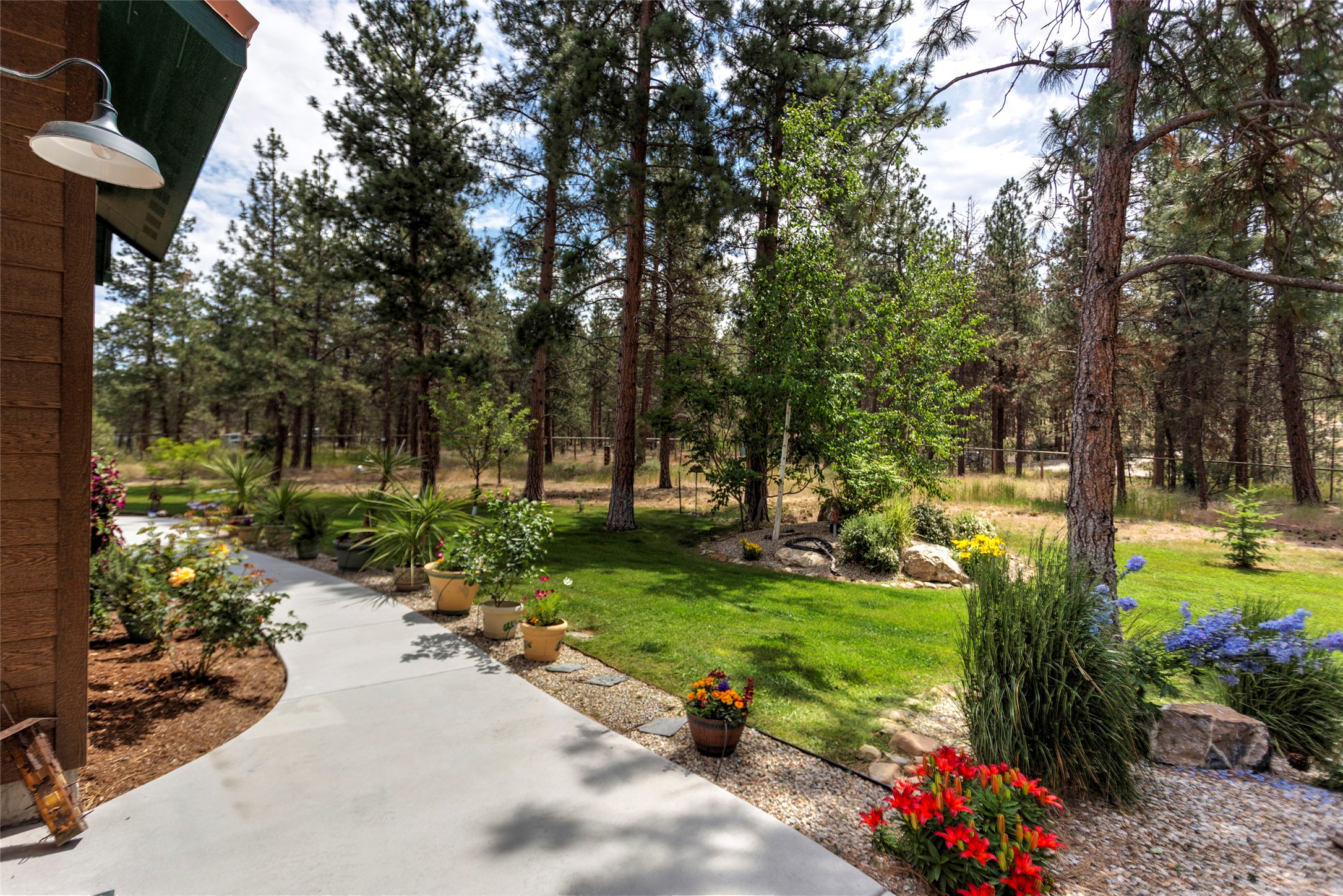 3229 Lupine Lane Property Photo 4