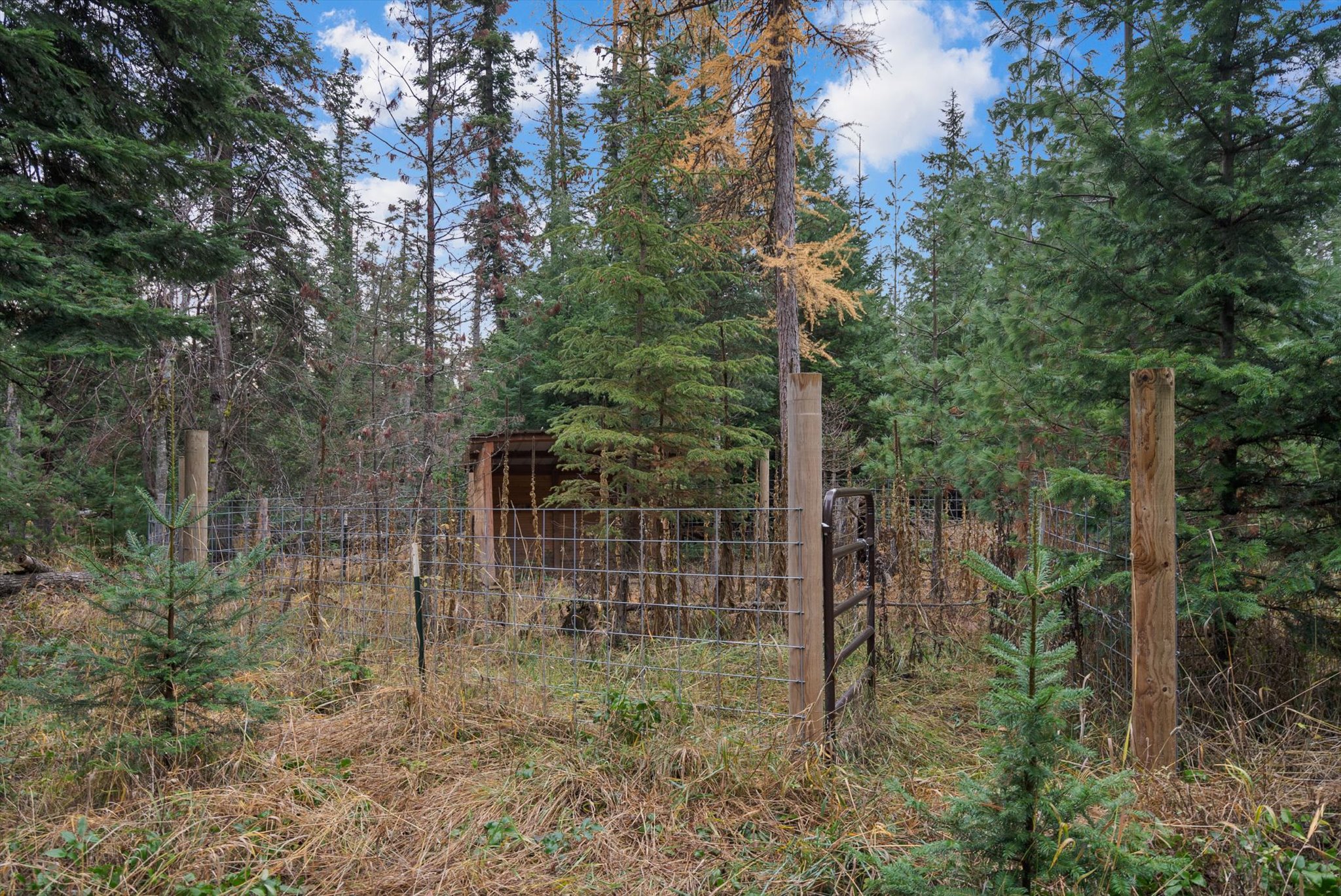 3740 Foothill Road Property Photo 75
