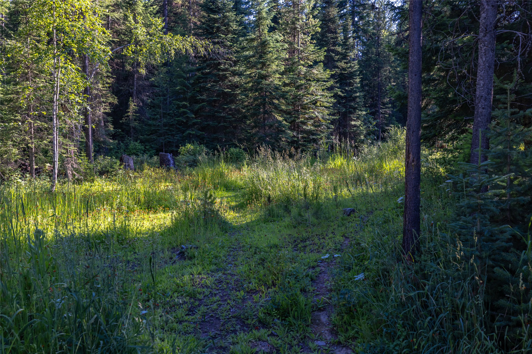 220 Cliff Creek Road Property Photo 63