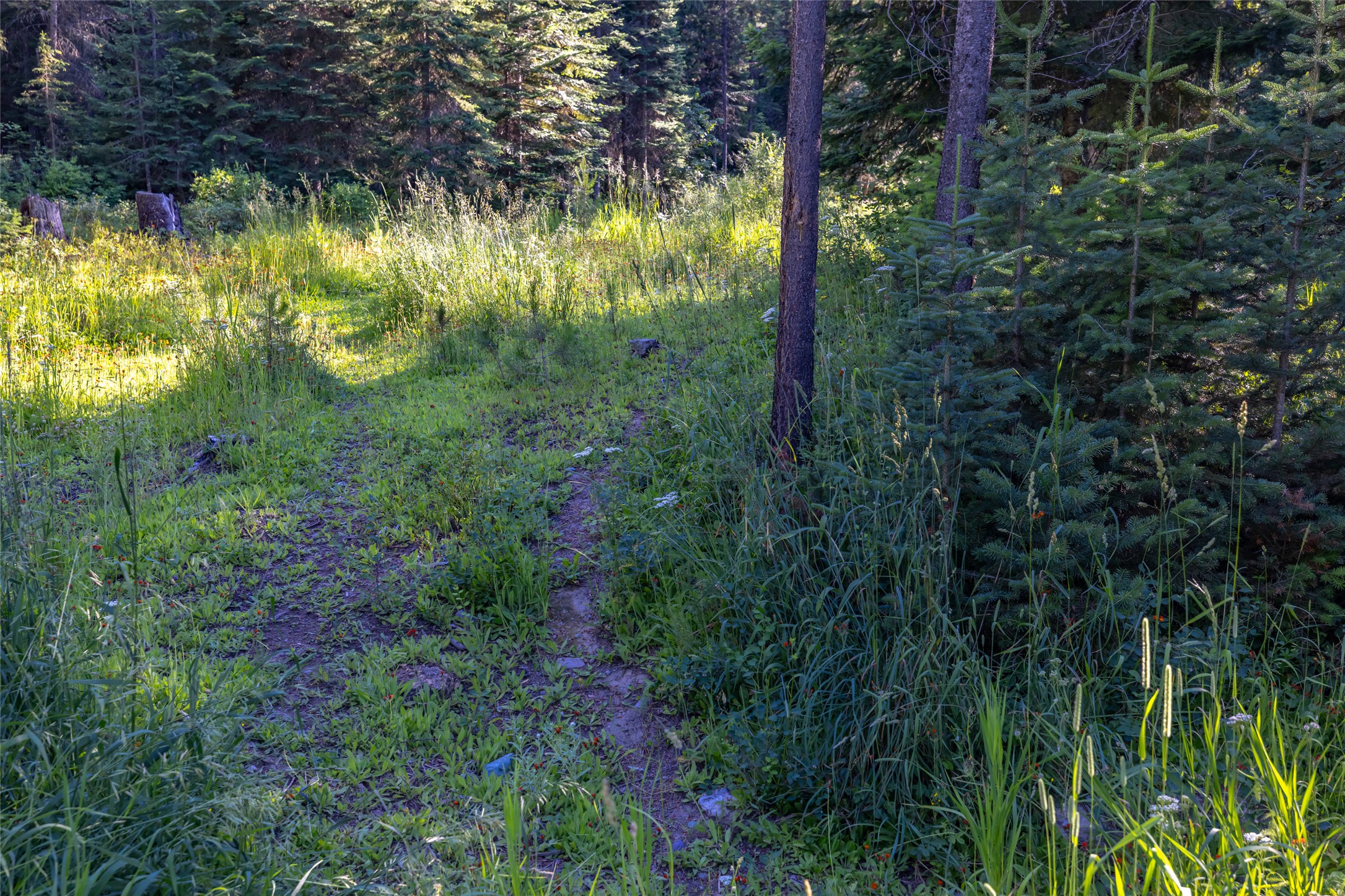220 Cliff Creek Road Property Photo 64